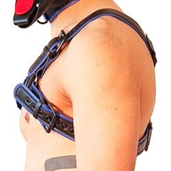 Brutus Harnais Puppy Harness Noir-Bleu